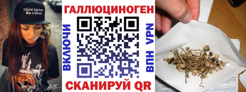 магазин продажи наркотиков  Ишим  Псилоцибиновые грибы Cubensis 