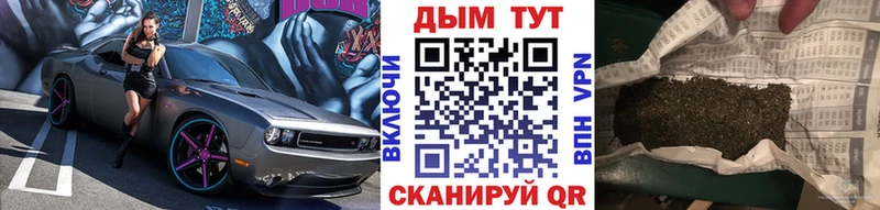 Каннабис гибрид  Ишим 